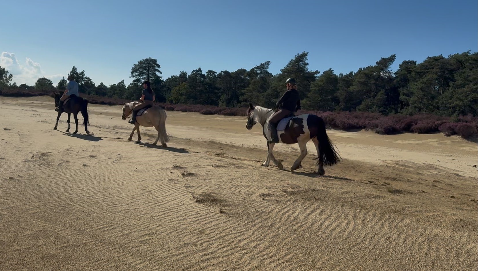 Buitenrit paardrijden