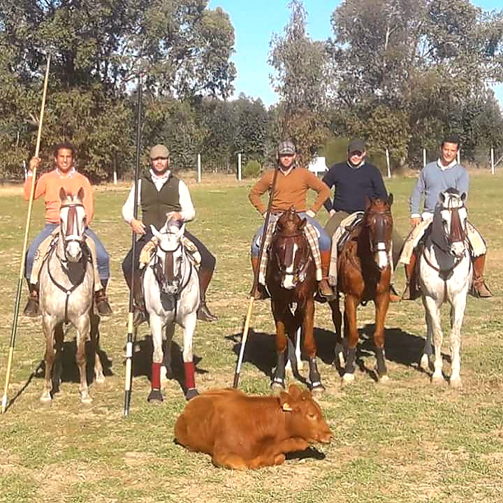 Working Equitation foto 2